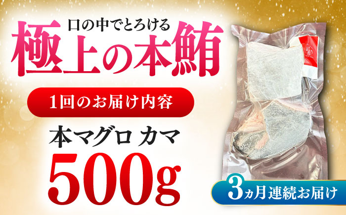 【全3回定期便】対馬産 本マグロ カマ 500g ≪対馬市≫【桐谷商店】 トロの華 対馬 新鮮 マグロ かま 鮪 [WAQ092]
