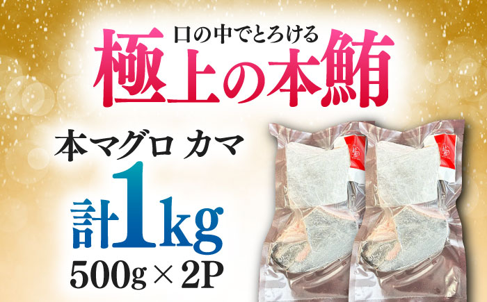 対馬産 本マグロ カマ 1kg ≪対馬市≫【桐谷商店】 トロの華 対馬 新鮮 マグロ かま 鮪 [WAQ095]