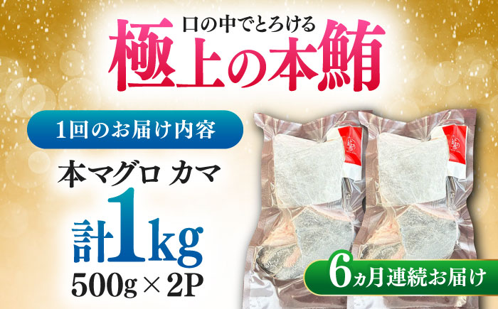 【全6回定期便】対馬産 本マグロ カマ 1kg ≪対馬市≫【桐谷商店】 トロの華 対馬 新鮮 マグロ かま 鮪 [WAQ097]