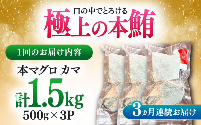 【全3回定期便】対馬産 本マグロ カマ 1.5kg ≪対馬市≫【桐谷商店】 トロの華 対馬 新鮮 マグロ かま 鮪 [WAQ100]