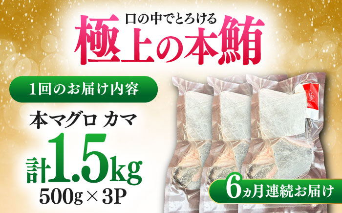 【全6回定期便】対馬産 本マグロ カマ 1.5kg ≪対馬市≫【桐谷商店】 トロの華 対馬 新鮮 マグロ かま 鮪 [WAQ101]