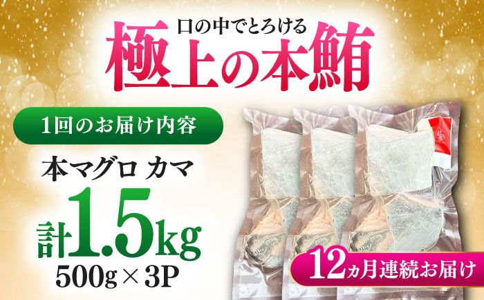 【全12回定期便】対馬産 本マグロ カマ 1.5kg ≪対馬市≫【桐谷商店】 トロの華 対馬 新鮮 マグロ かま 鮪 [WAQ102]