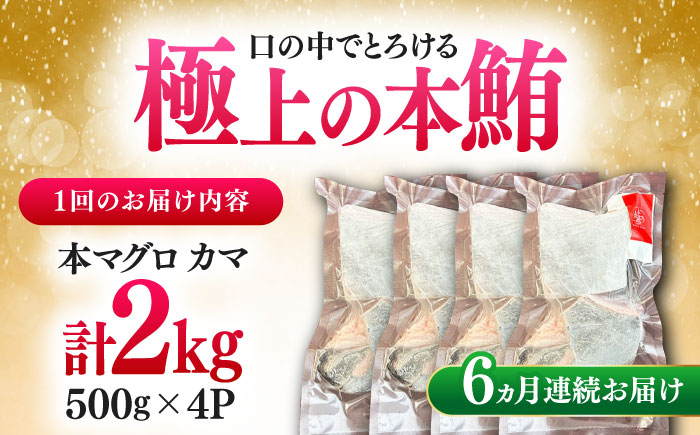 【全6回定期便】対馬産 本マグロ カマ 2kg ≪対馬市≫【桐谷商店】 トロの華 対馬 新鮮 マグロ かま 鮪 [WAQ105]