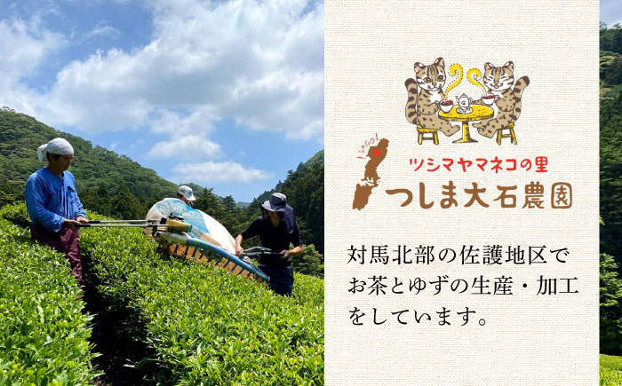 【全12回定期便】対馬 紅茶 リーフ 30g×6個 《対馬市》【つしま大石農園】ティー 国産 [WBE007]