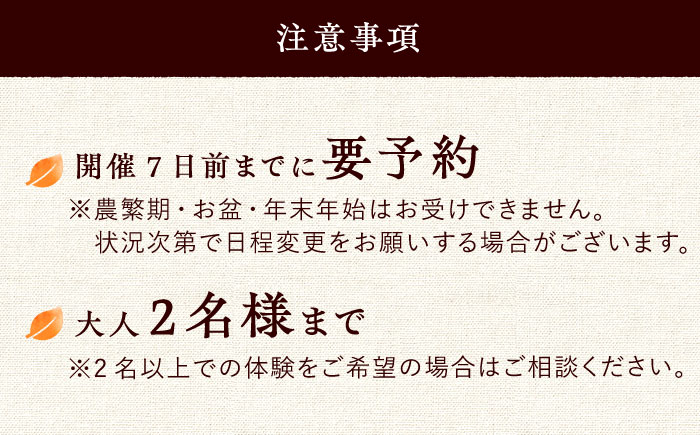 紅茶 づくり 体験 と 民泊 あたんせ 宿泊 プラン（クーポン付き）（2名様まで）《対馬市》【つしま大石農園】ティー [WBE011]