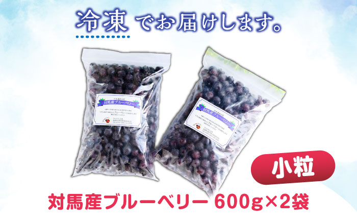 対馬産 ブルーベリー 600g×2袋 計1.2kg（ 冷凍 ） 【さほの里ファーム 】《 対馬市 》 小粒　離島 対馬 無農薬 有機肥料 旬 果物 フルーツ [WBG011]