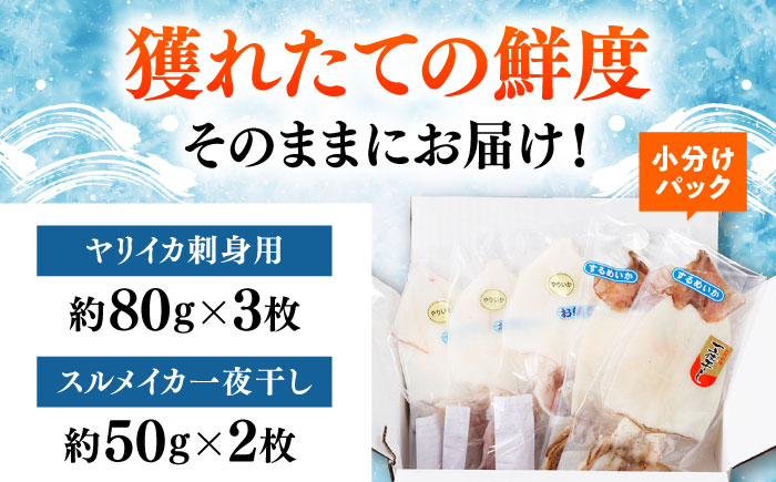イカ三昧セット 《対馬市》【いか吉工房】 いか イカ ヤリイカ スルメイカ 刺身 一夜干し 海鮮 [WBO002]