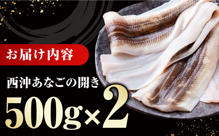 対馬産 天然あなごの開き500g×2《対馬市》【すし処慎一】国産 肉厚 穴子 アナゴ 新鮮 冷凍 白焼き 天ぷら 揚げ物 贈り物 [WCO002]