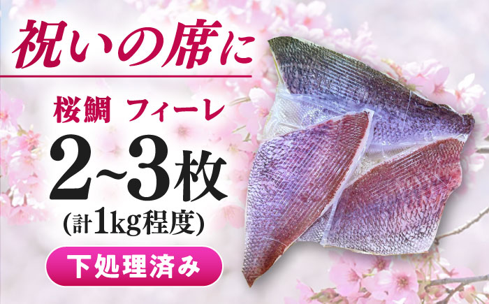 天然 桜鯛 フィーレ 1kg 《対馬市》【対馬新鮮組】 下処理済 鯛 真鯛 サクラダイ 新鮮 お祝い 冷凍配送 産地直送 [WCS002]