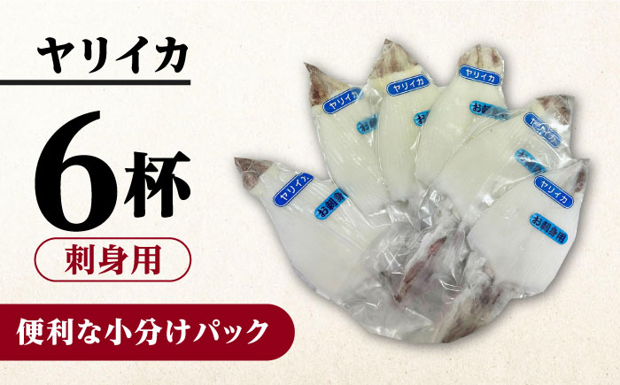 対馬産 ヤリイカ 刺身用 6杯《対馬市》【対馬新鮮組】 冷凍配送 小分け いか 新鮮 海鮮 冷凍配送  [WCS003]
