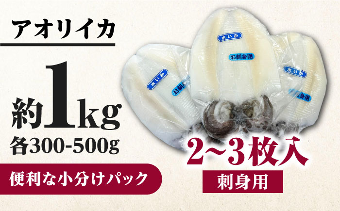 イカの王様！ アオリイカ 刺身用 約1?s（2～3枚入） 《対馬市》【対馬新鮮組】 高級 肉厚 水いか 新鮮 海鮮 冷凍配送 [WCS004]
