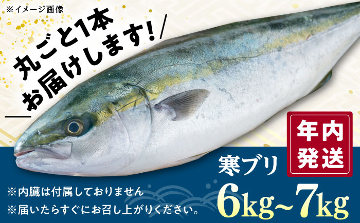 【12/29発送】真空！寒ブリ（6kg～7kg）《対馬市》【対馬新選組】 ぶり ブリ 鰤 ぶりしゃぶ しゃぶしゃぶ 刺身 鮮魚 海鮮 魚 対馬 長崎 国産 新鮮 冷蔵 鍋 海鮮鍋 年末 正月 年内発送 年内配送 年末配送 時間指定 [WCS009]