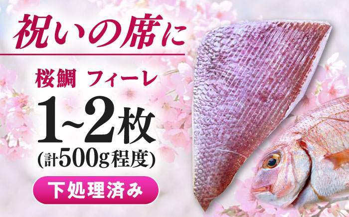天然 桜鯛 フィーレ 500g 程度 《対馬市》【対馬新鮮組】 下処理済 鯛 真鯛 サクラダイ 新鮮 お祝い 冷凍配送 産地直送 [WCS013]