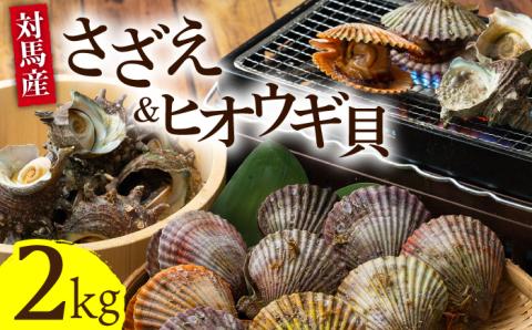 対馬 さざえ ヒオウギ貝 セット 計2kg [WAD003]