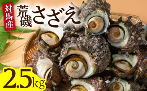 荒磯 さざえ 2.5 kg [WAD006]