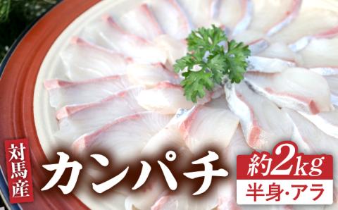 対馬カンパチ３枚卸 《対馬市》【海風商事】 [WAD010]