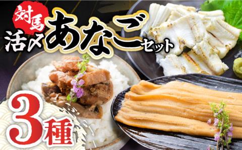 【12/23入金分まで年内発送】対馬産活〆あなごセット [WAC001]