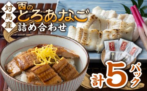 対馬産 穴子 詰め合わせ 5PAC [WAV001]