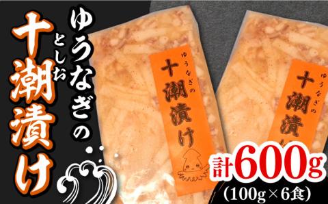 ゆうなぎ の 十潮(としお)漬け《対馬市》【ゆうなぎ対馬】イカ おかず 簡単 惣菜 ご飯に合う 時短調理 冷凍 [WAG023]