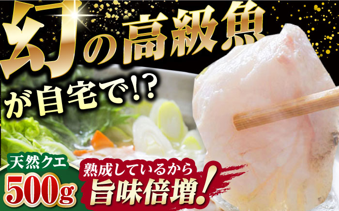 【迷ったらコレ！】対馬産 幻の高級魚 クエ 500g《対馬市》【保家商事】 冷凍配送 くえ アラ 切身 海鮮 鮮魚 魚介[WAA004]