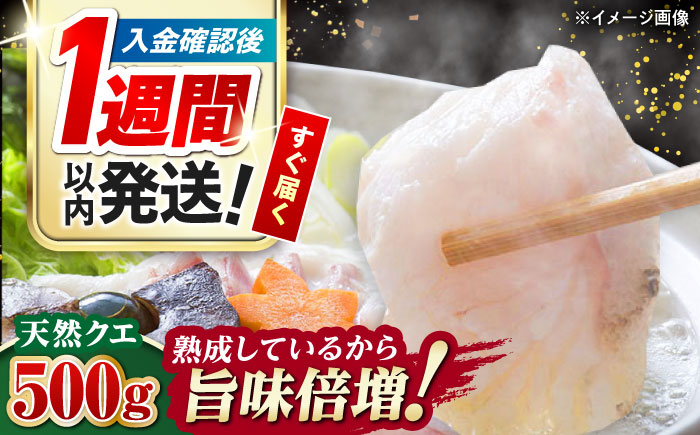 【1週間以内発送】【迷ったらコレ！】対馬産 幻の高級魚 クエ 500g《対馬市》【保家商事】 冷凍配送 くえ アラ 切身 海鮮 鮮魚 魚介[WAA004] スピード発送 最速発送 最短発送