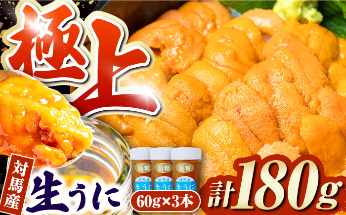 対馬産生うに60g×3本《対馬市》【保家商事】 うに ウニ 雲丹 生ウニ 海鮮 海産物 [WAA009]