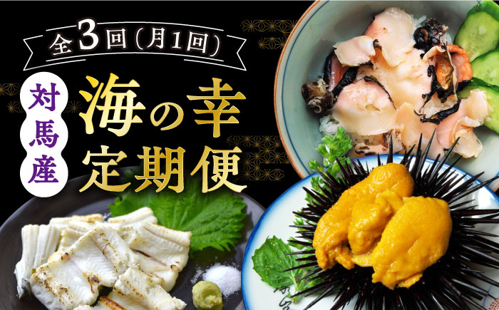 【全3回定期便】対馬産 海の幸定期便 《対馬市》【保家商事】 ウニ うに 穴子 アナゴ サザエ 刺身 海鮮 [WAA013]