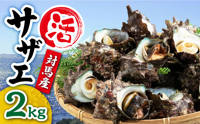 対馬産 活サザエ 2kg《対馬市》【保家商事】 サザエ さざえ 貝 BBQ 海鮮 魚貝 海産物 [WAA015]