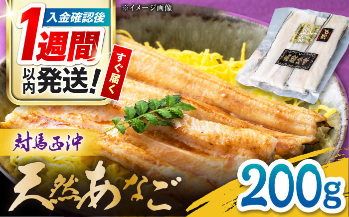 対馬産 西沖あなご 200g×1パック《対馬市》【保家商事】 あなご 穴子 アナゴ 海鮮 海産物 魚介 [WAA044]