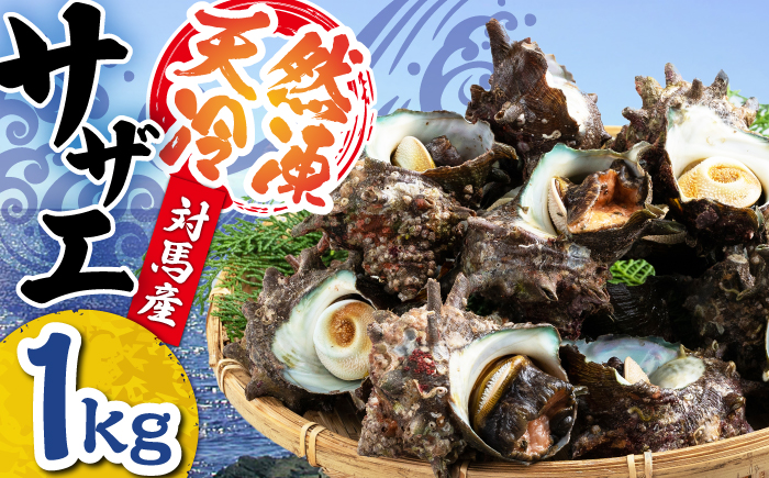 対馬産 天然冷凍サザエ 1kg 《対馬市》【保家商事】さざえ サザエ 刺し身 海鮮 魚貝 貝 海産物 [WAA045]