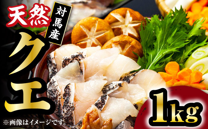 【12/25入金分まで年内発送】【 対馬産 】 天然 クエ 1kg（500g×2）（切り身）《対馬市》【石川水産】 鍋 水炊き 鮮度抜群 海鮮 [WAB011]