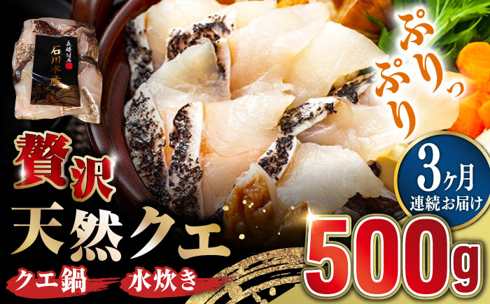 【全3回定期便】【 対馬産 】 天然 クエ 500g （切り身）《対馬市》【石川水産】 鍋 水炊き 鮮度抜群 海鮮 クエ 天然クエ [WAB018]