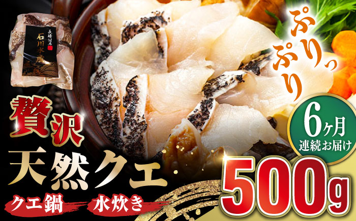 【全6回定期便】【 対馬産 】 天然 クエ 500g （切り身）《対馬市》【石川水産】 鍋 水炊き 鮮度抜群 海鮮 クエ 天然クエ [WAB019]