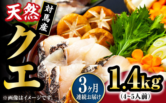 【全3回定期便】【 対馬産 】最高級 クエ 鍋 セット ( 4～5人前 ) 《対馬市》【石川水産】 水炊き  鮮度抜群 海鮮 [WAB021]