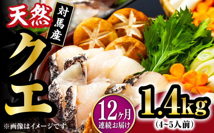 【全12回定期便】【 対馬産 】最高級 クエ 鍋 セット ( 4～5人前 ) 《対馬市》【石川水産】 水炊き  鮮度抜群 海鮮 [WAB023]