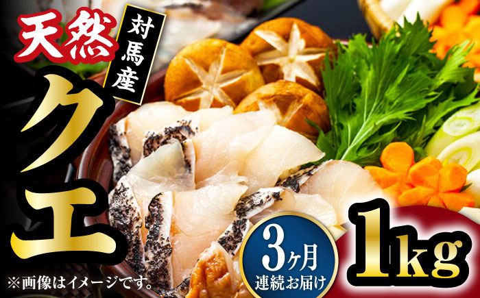 【全3回定期便】【 対馬産 】 天然 クエ 1kg（500g×2）（切り身）《対馬市》【石川水産】 鍋 水炊き 鮮度抜群 海鮮 クエ 天然クエ [WAB024]