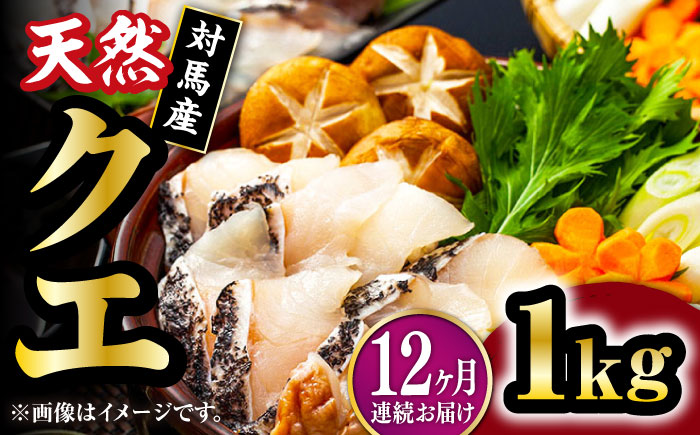 【全12回定期便】【 対馬産 】 天然 クエ 1kg（500g×2）（切り身）《対馬市》【石川水産】 鍋 水炊き 鮮度抜群 海鮮 クエ 天然クエ [WAB026]