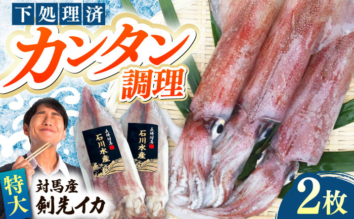 【12/25入金分まで年内発送】【特大】 剣先 イカ （ 生 冷凍 ）2枚 《対馬市》【石川水産】刺身 塩辛 鮮度抜群 海鮮 [WAB027]