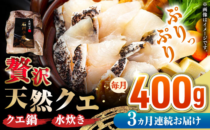 【全3回定期便】 【 対馬産 】 天然 クエ 400g （切り身）《対馬市》【石川水産】 鍋 水炊き 鮮度抜群 海鮮 [WAB030]