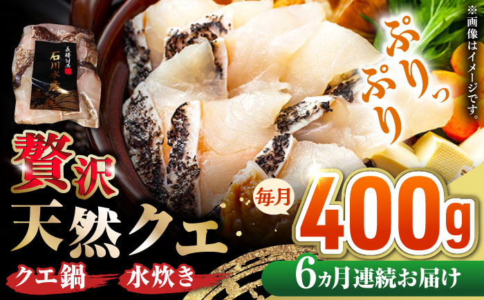 【全6回定期便】 【 対馬産 】 天然 クエ 400g （切り身）《対馬市》【石川水産】 鍋 水炊き 鮮度抜群 海鮮 [WAB031]