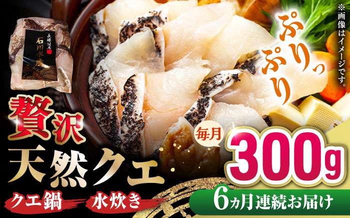 【全6回定期便】 【 対馬産 】 天然 クエ 300g （身のみ）《対馬市》【石川水産】 鍋 水炊き 鮮度抜群 海鮮 [WAB034]