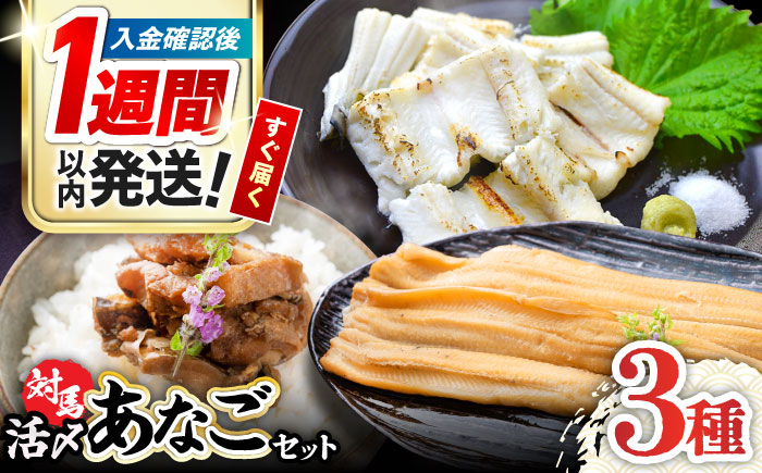 【1週間以内発送】対馬産活〆あなごセット [WAC001] スピード発送 最速発送 最短発送