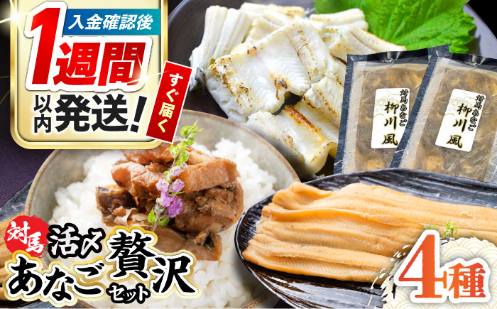 【1週間以内発送】対馬産あなご贅沢セット [WAC002] スピード発送 最速発送 最短発送