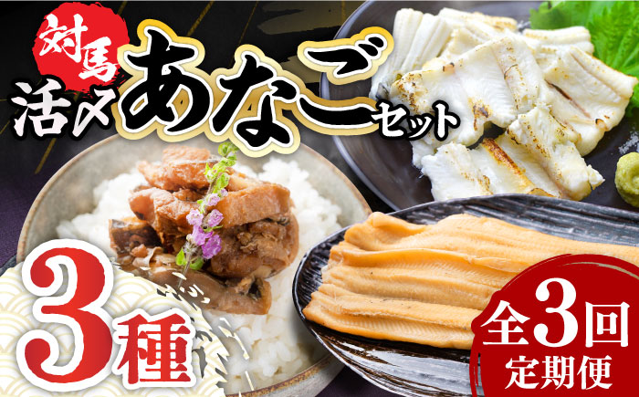 【全3回定期便】対馬 産 活〆 あなご セット《対馬市》【対馬地域商社】九州 長崎 煮あなご 佃煮 アナゴ [WAC018]