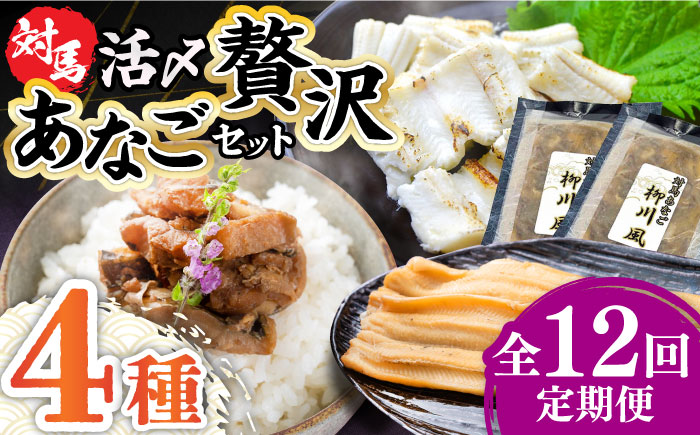 【全12回定期便】対馬産 あなご 贅沢 セット 《対馬市》【対馬地域商社】九州 長崎 煮あなご 佃煮 アナゴ [WAC023]