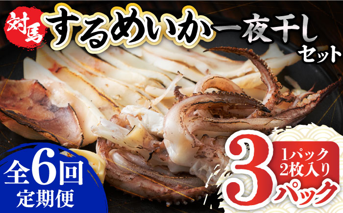 【全6回定期便】するめ いか 一夜干し セット《対馬市》【対馬地域商社】九州 長崎 海鮮 [WAC025]