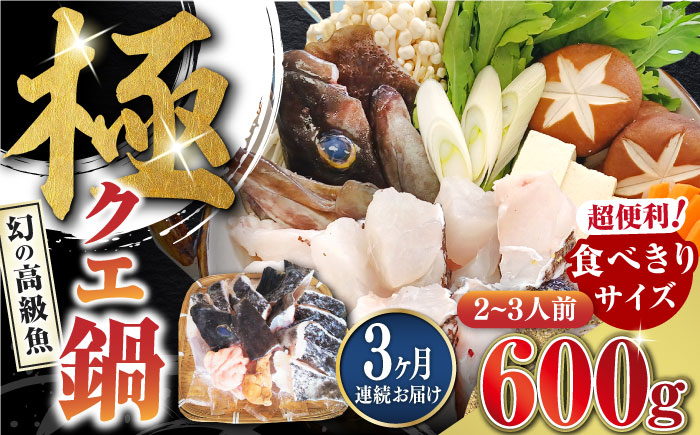 【全3回定期便】対馬 産 クエ 鍋 セット 600g (2～3人前)《対馬市》【対馬地域商社】九州 長崎 海鮮 [WAC033]