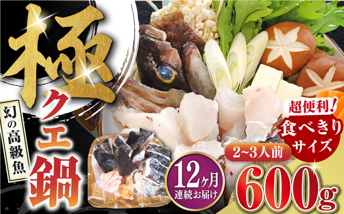 【全12回定期便】対馬 産 クエ 鍋 セット 600g (2～3人前)《対馬市》【対馬地域商社】九州 長崎 海鮮 [WAC035]