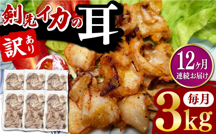 【全12回定期便】剣先いか の耳 3kg 《対馬市》【一般社団法人 対馬地域商社】 シロイカ 新鮮 肉厚 海鮮 BBQ 天ぷら 魚介 おかず いか [WAC049]