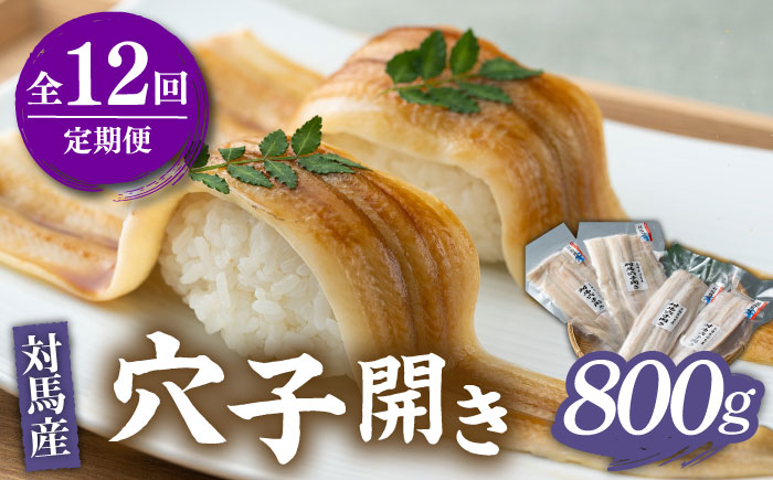 【全12回定期便】対馬 穴子 開き 800g《対馬市》【海風商事】アナゴ 国産 九州 長崎 [WAD031]